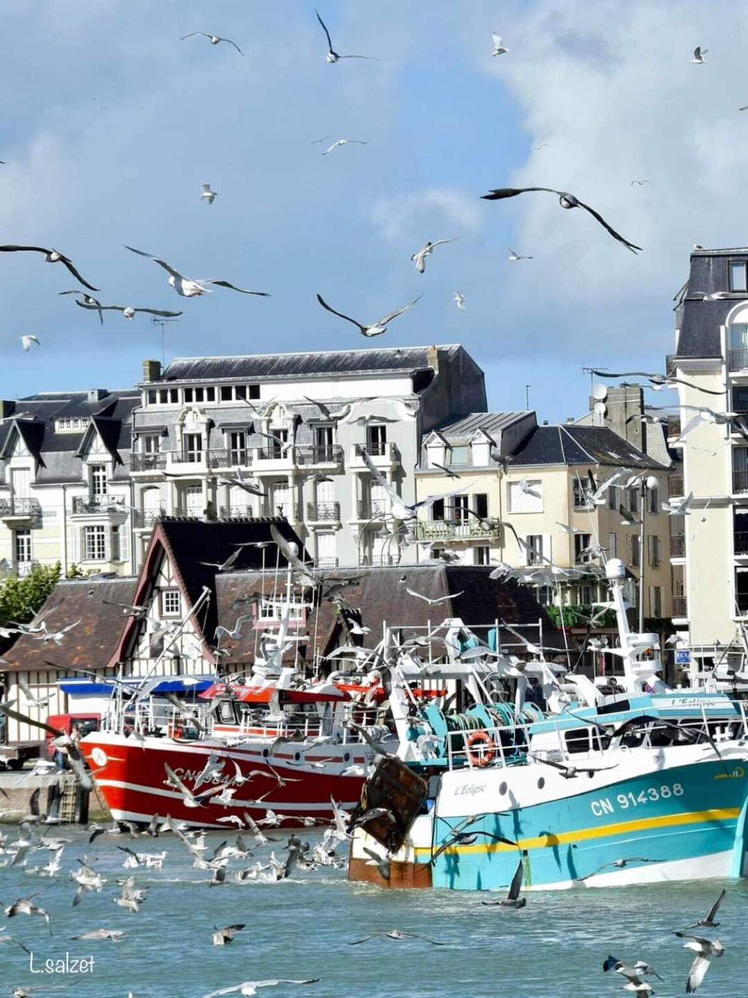 Studio De Charme A Trouville Sur Mer. Exterior photo